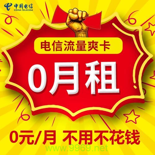 泰兴电信流量卡的全面解析，优势、资费、覆盖与更多关键信息探讨插图2