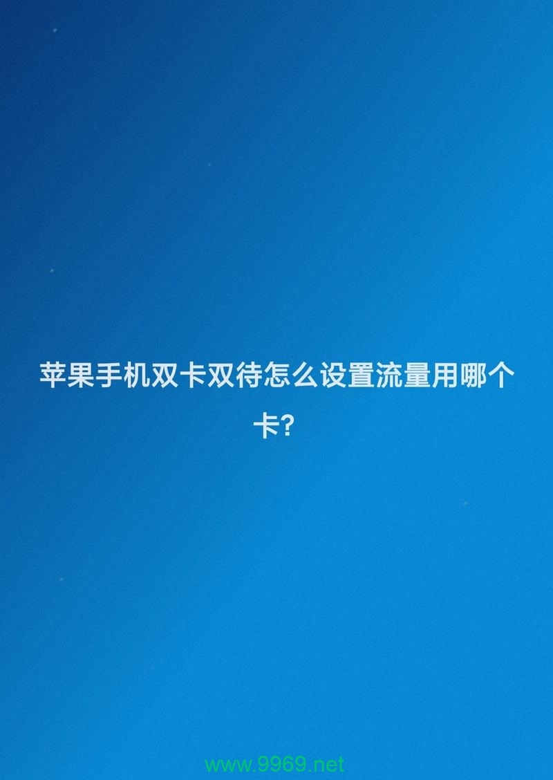 双待流量卡，如何平衡工作与生活的数据需求？插图