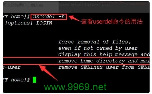 如何在Linux FTP中执行文件删除操作？插图