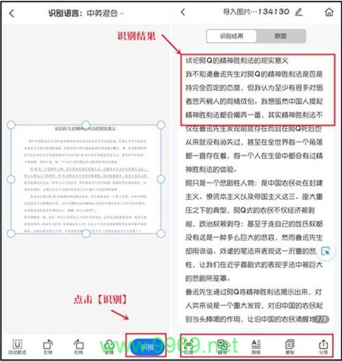 如何高效识别PDF文件中的文字？插图