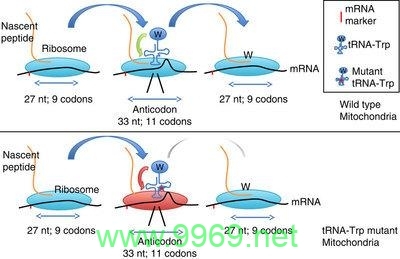 什么是PROFILING在计算机科学中的作用和重要性？插图