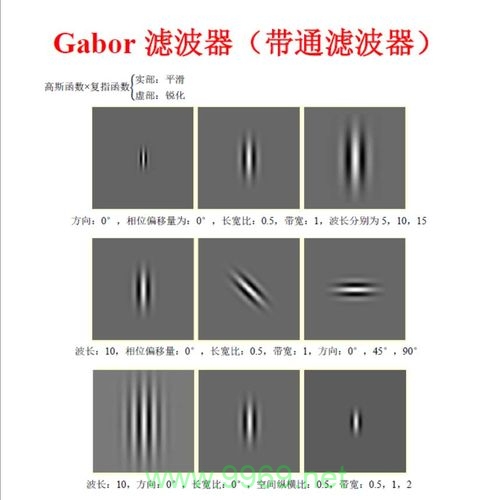 如何实现频域Gabor滤波器？插图4