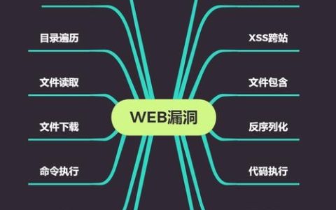 如何有效识别和预防Web应用中的常见安全漏洞？