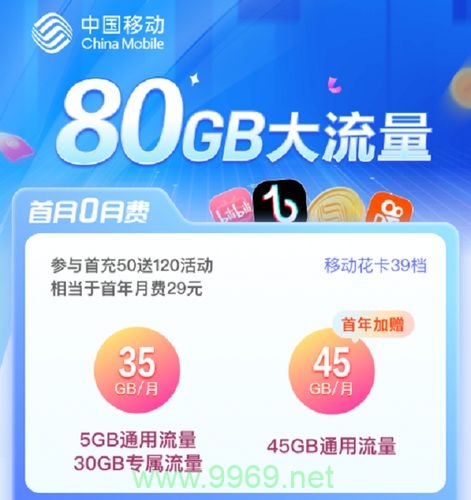 大王卡放卡2不免流量插图4