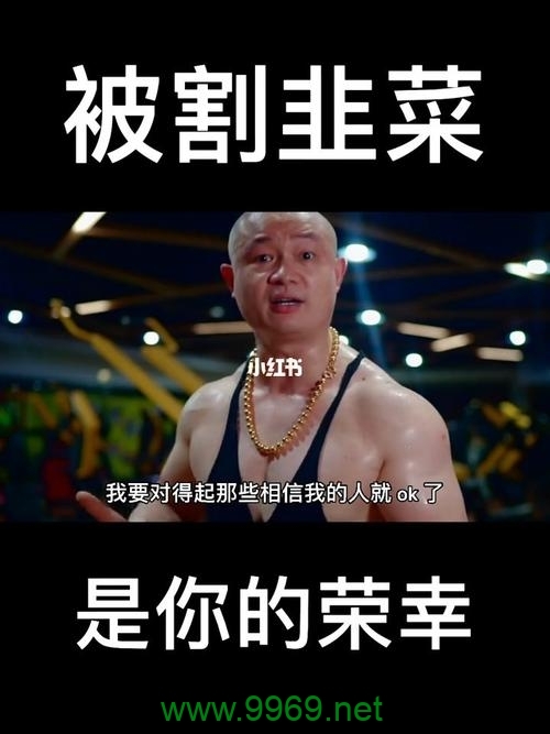 CDN服务供应商是否真的在剥削用户？插图