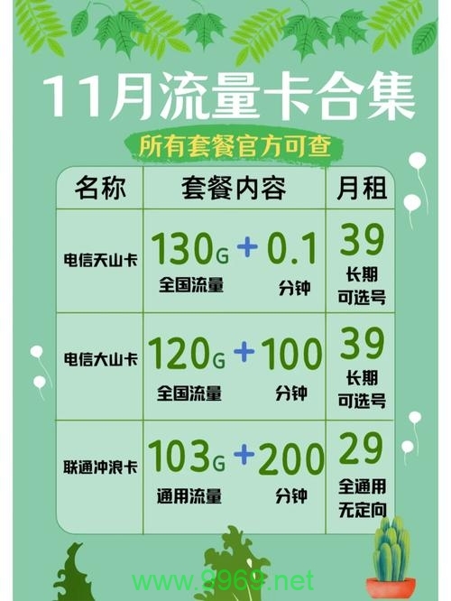 电信卡流量卡免流范围插图