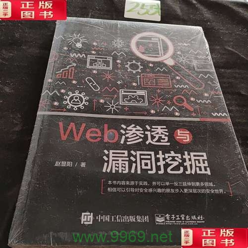 如何有效进行Web漏洞挖掘以增强网络安全？插图2