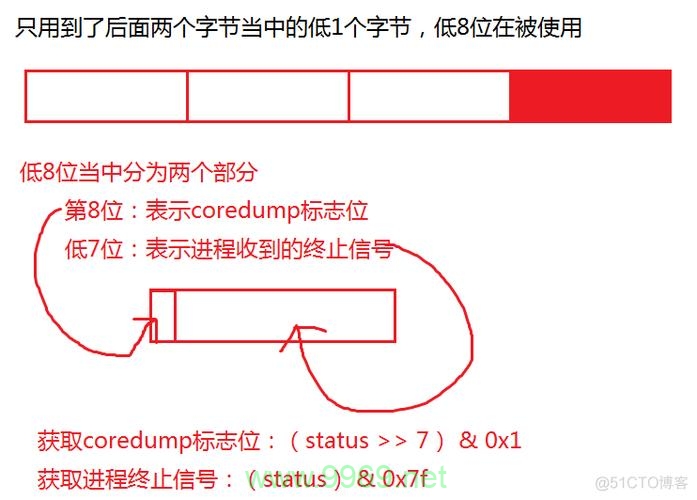 在Linux编程中，有哪些常用的等待函数？插图2