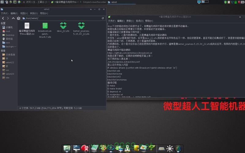 如何在Linux系统上安装和配置Broadcom网卡驱动程序？插图2