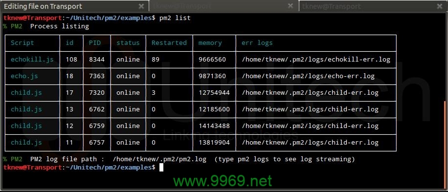 PM2在Linux系统上如何优化Node.js应用的性能？插图