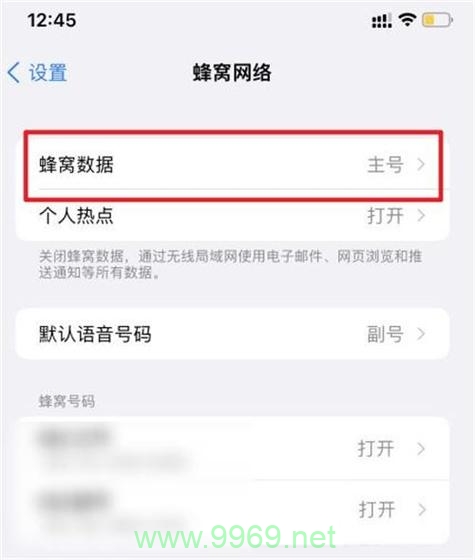 iponexsmax双卡设置副卡流量插图4