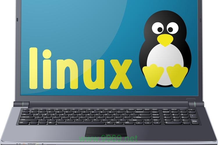 在Linux系统上运行ASP应用是否可行？插图2