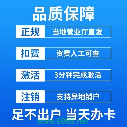 大王卡网卡流量卡怎么用插图