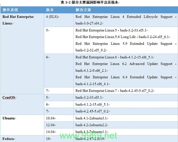 破壳漏洞，网络安全的新威胁？插图