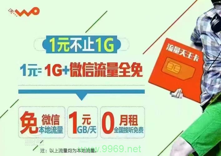 天王卡10g流量卡插图4