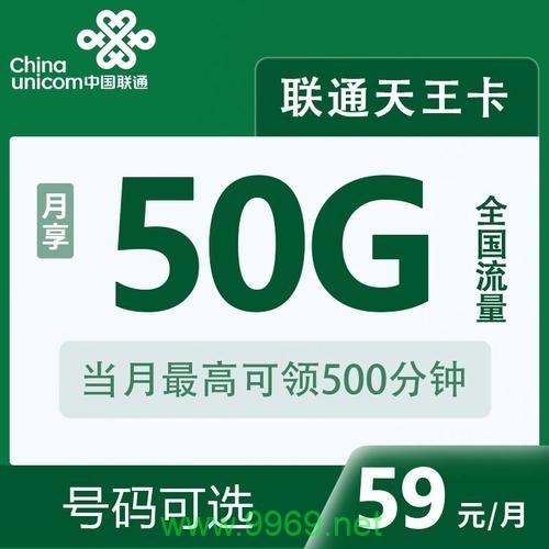 天王卡10g流量卡插图