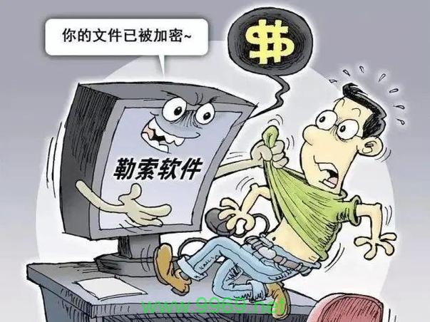 新网漏洞，网络安全的新威胁？插图