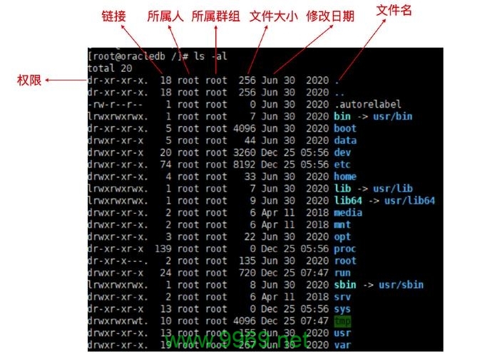 如何正确设置和管理Linux Shell中的文件权限？插图