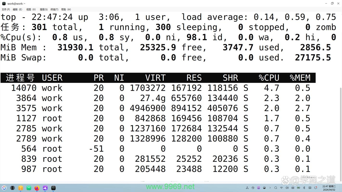 如何查看Linux系统中的内存使用情况？插图