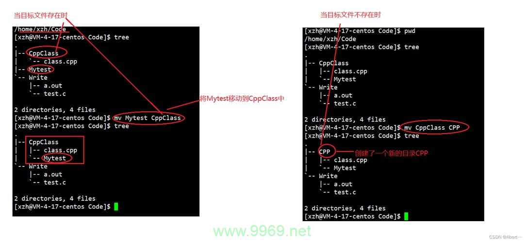 如何高效地使用Linux系统中的ls命令？插图2