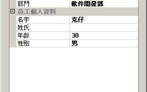 PropertyGrid_: 如何利用属性网格提升用户界面的可配置性？