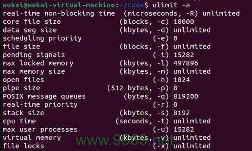 为什么Linux系统不生成核心转储文件（core dump）？插图2