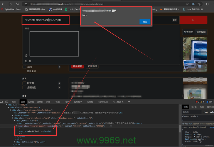 如何有效挖掘XSS漏洞以提升网络安全性？插图2