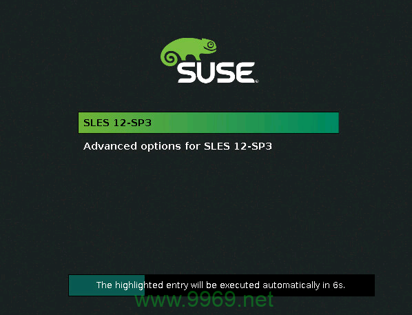 如何设置SUSE Linux 11的FTP服务？插图4