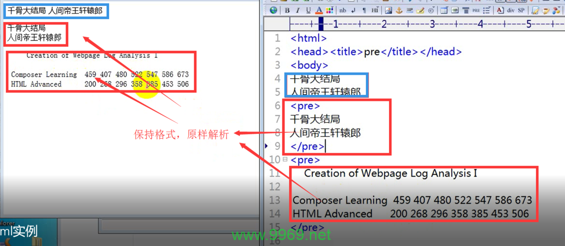 如何使用HTML的标签来保留文本的格式和空白字符？插图