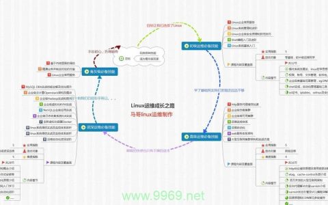 如何快速查看Linux系统中的环境变量路径？