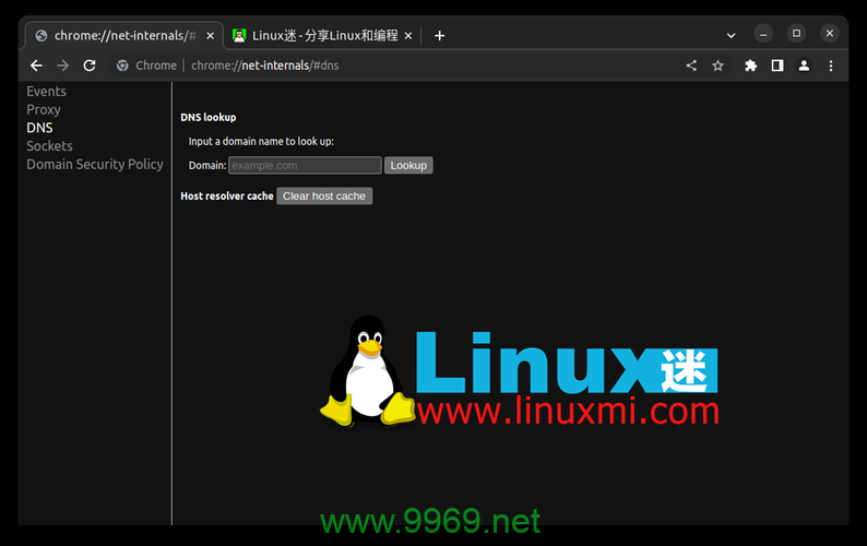 如何查看Linux系统中的缓存使用情况？插图