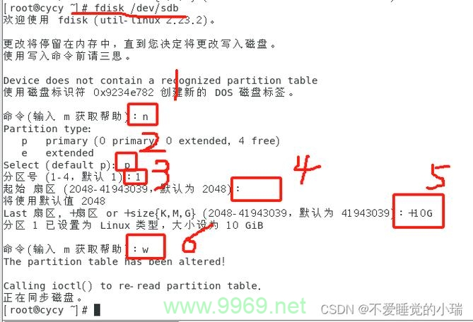 如何在Linux系统中实现硬盘对刻？插图4