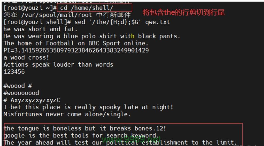 如何在Linux Shell中安全地覆盖文件？插图4