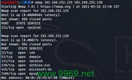 nmap 漏洞扫描，如何确保网络的安全无懈可击？插图