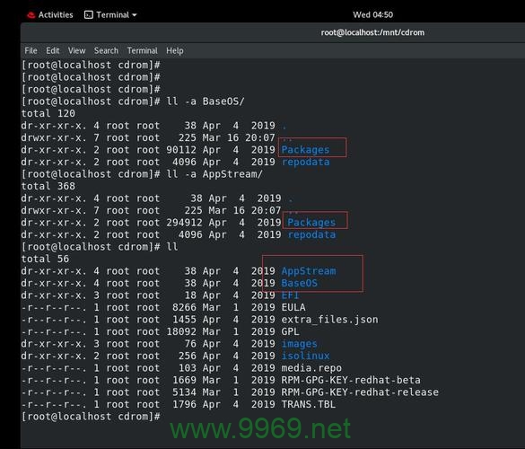 如何在 Linux 中使用 YUM 安装 DNS 服务？插图4