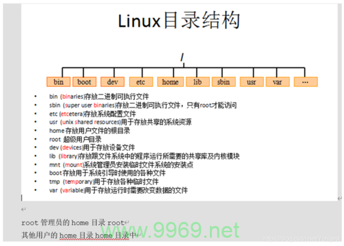 如何确定Linux系统中Node.js的安装目录？插图2