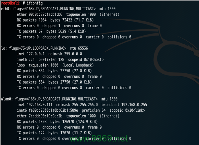 如何利用Kali Linux查看网络接口信息？插图2