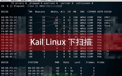 如何利用Kali Linux查看网络接口信息？