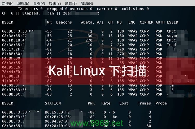 如何利用Kali Linux查看网络接口信息？插图