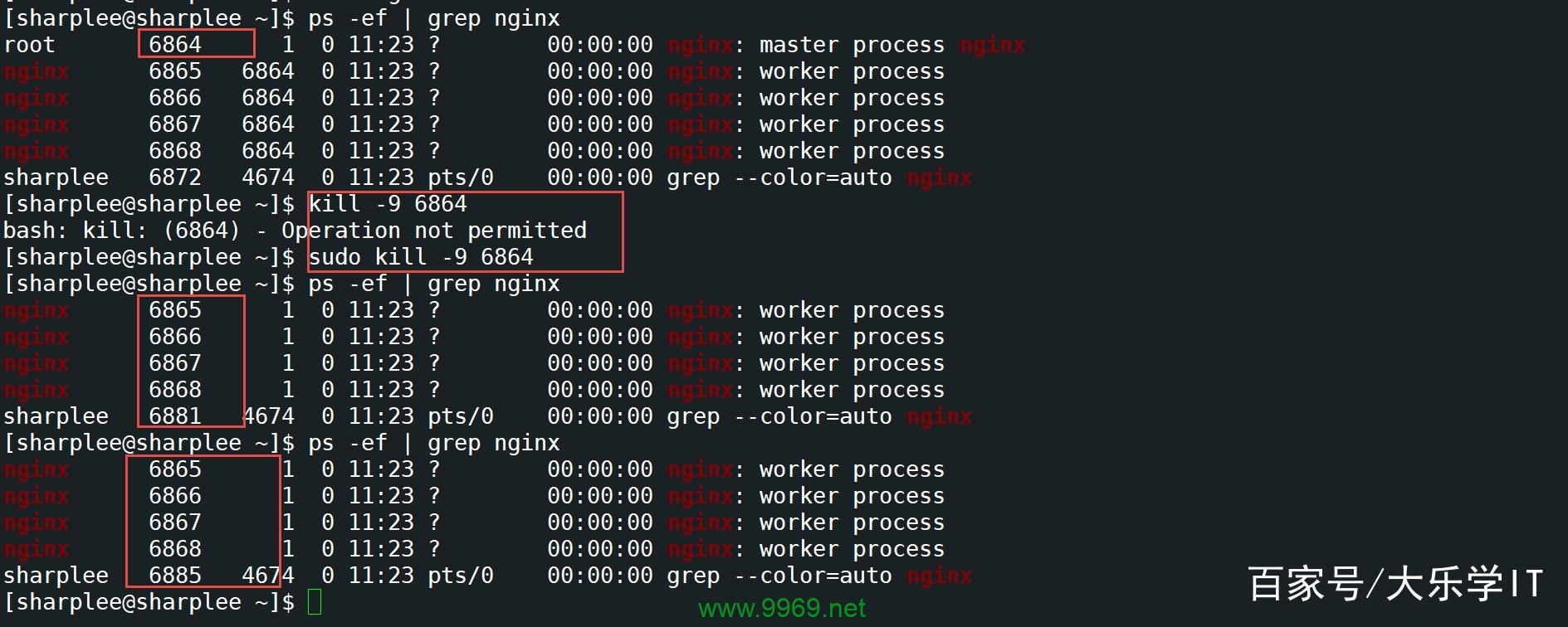 在Linux系统中，有哪些方法可以安全地终止正在运行的进程？插图