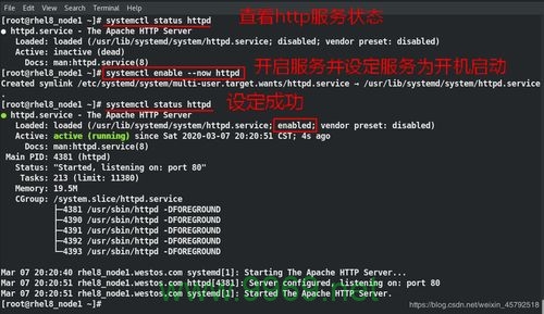 如何在Linux系统中安装Apache服务器？插图2