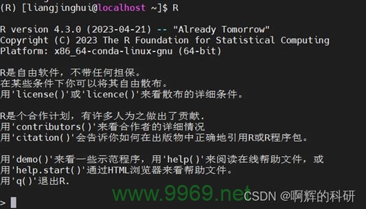 如何在Linux系统上安装R软件？插图2