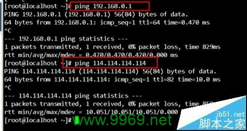 为什么在Linux系统中无法ping通域名？插图