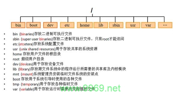 为什么Linux目录权限设置为777可能带来安全隐患？插图