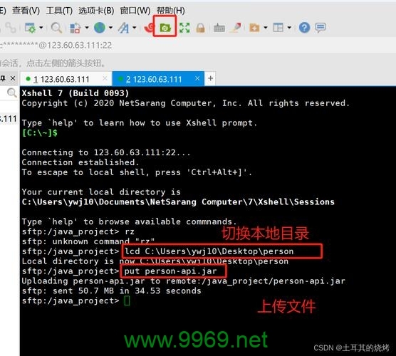 如何在Linux Shell中高效传输文件？插图