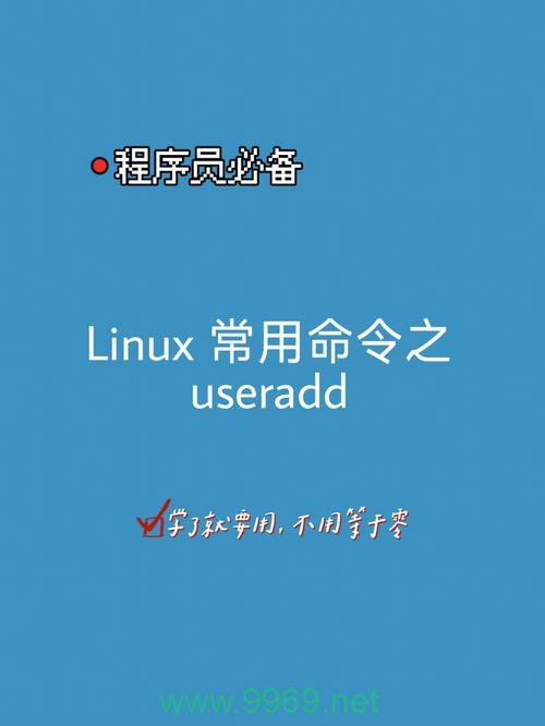 如何在Linux系统中通过SSH添加新用户？插图2