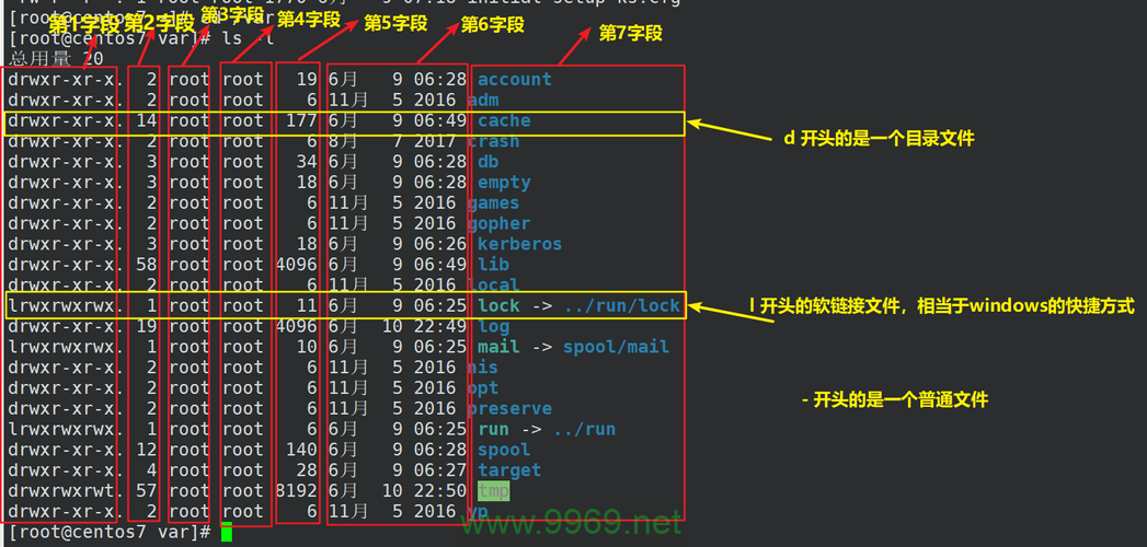 Linux系统ls命令，如何高效地列出目录内容？插图4