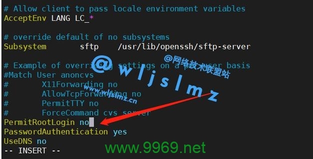 为何无法使用SSH登录到Linux系统？插图