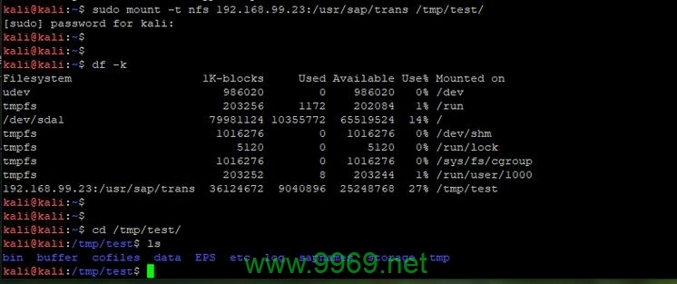 NFS漏洞，网络文件共享系统的安全风险究竟有多高？插图