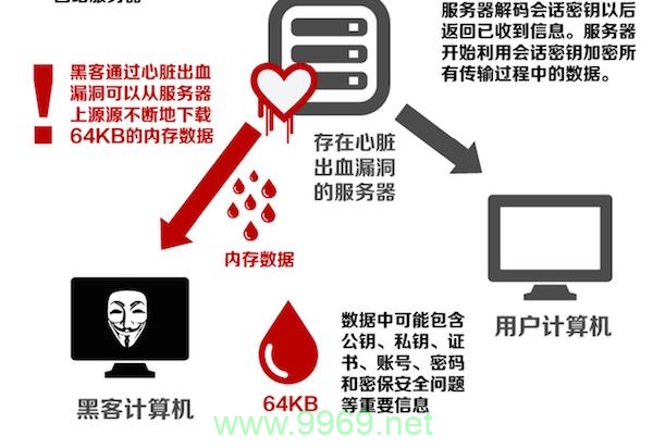 动易 漏洞，是技术疏忽还是安全威胁？插图2